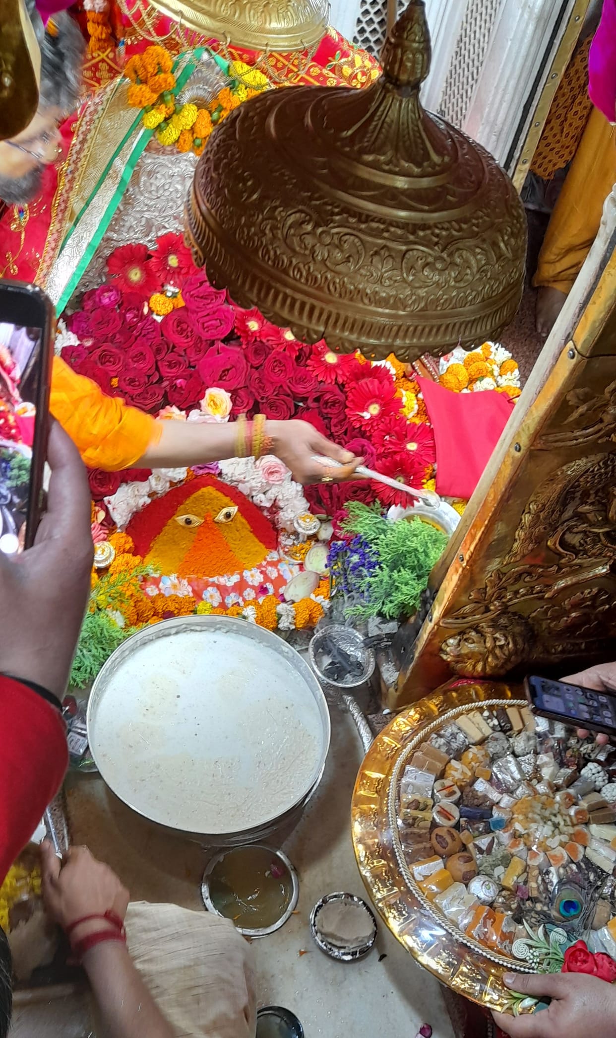 After worshiping Kanchak in Maa Chintpurni, coconut prasad was distributed among the devotees.