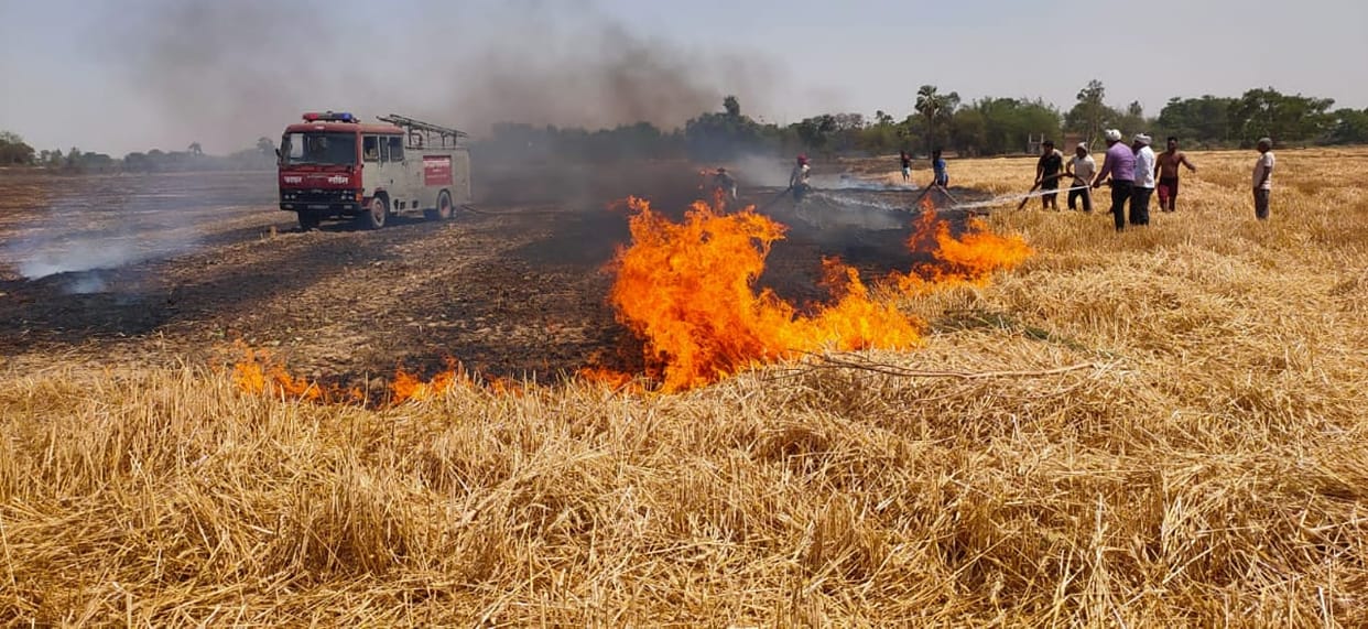 Fire broke out in different villages, 700 bigha wheat crop reduced to ashes