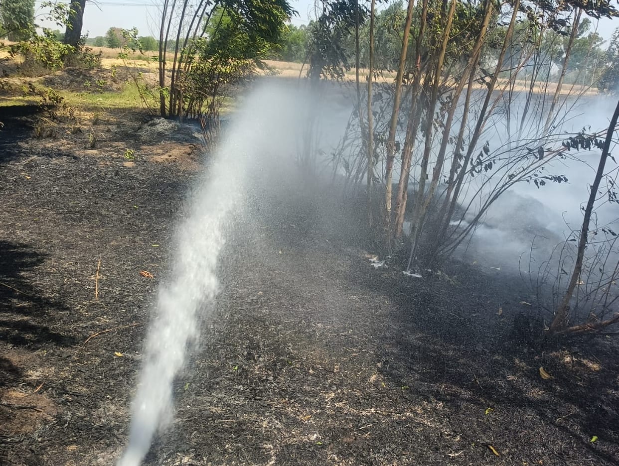 Fire breaks out in fields, 32 acres of wheat crop reduced to ashes