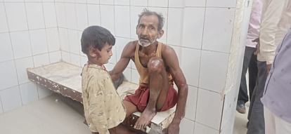 Damoh News: दमोह के शहरी क्षेत्र में घुस आए दो भालू, मचाया कोहराम, मवेशी और इंसानों पर किया हमला Two bears entered the urban area of Damoh and created ruckus, attacked humans as well as cattle