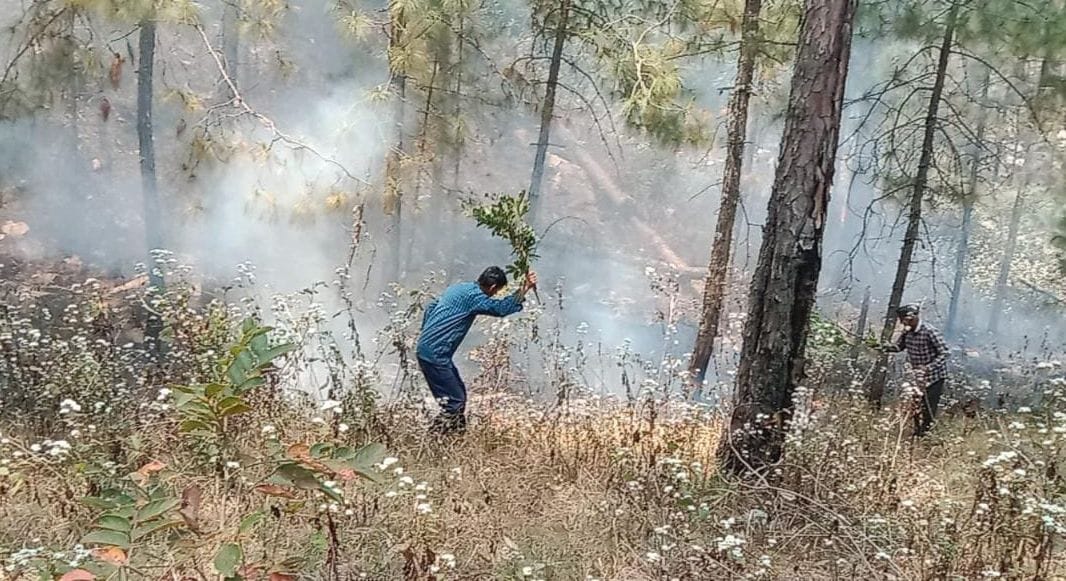 Water conservation will provide a way to fight forest fire