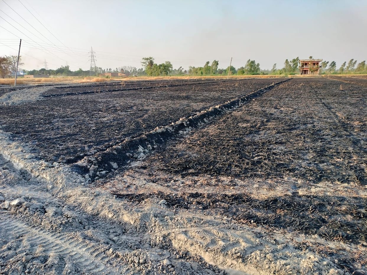 12 acres of wheat crop destroyed by fire