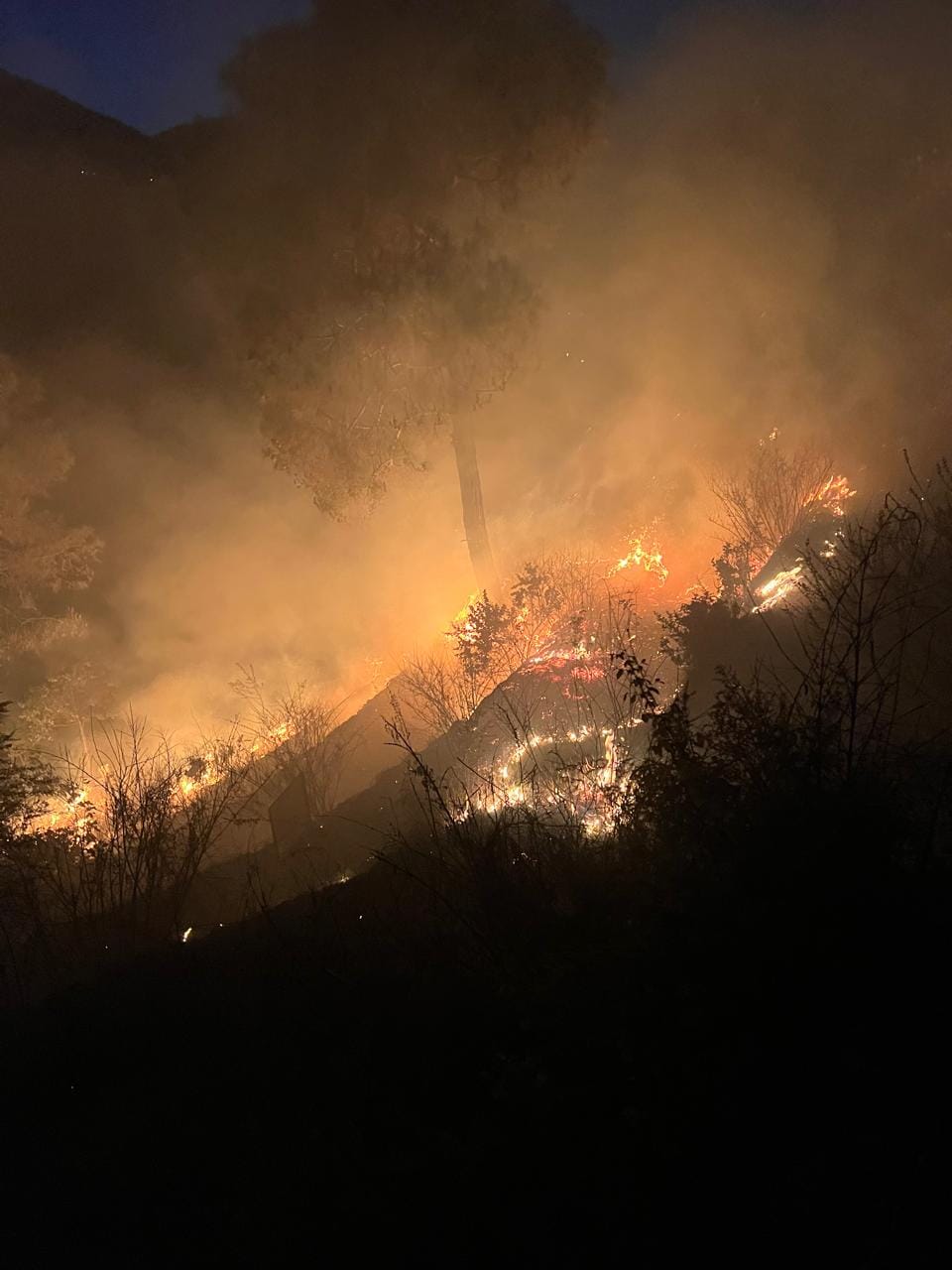 A massive fire broke out in the forest of Beluwakhan.