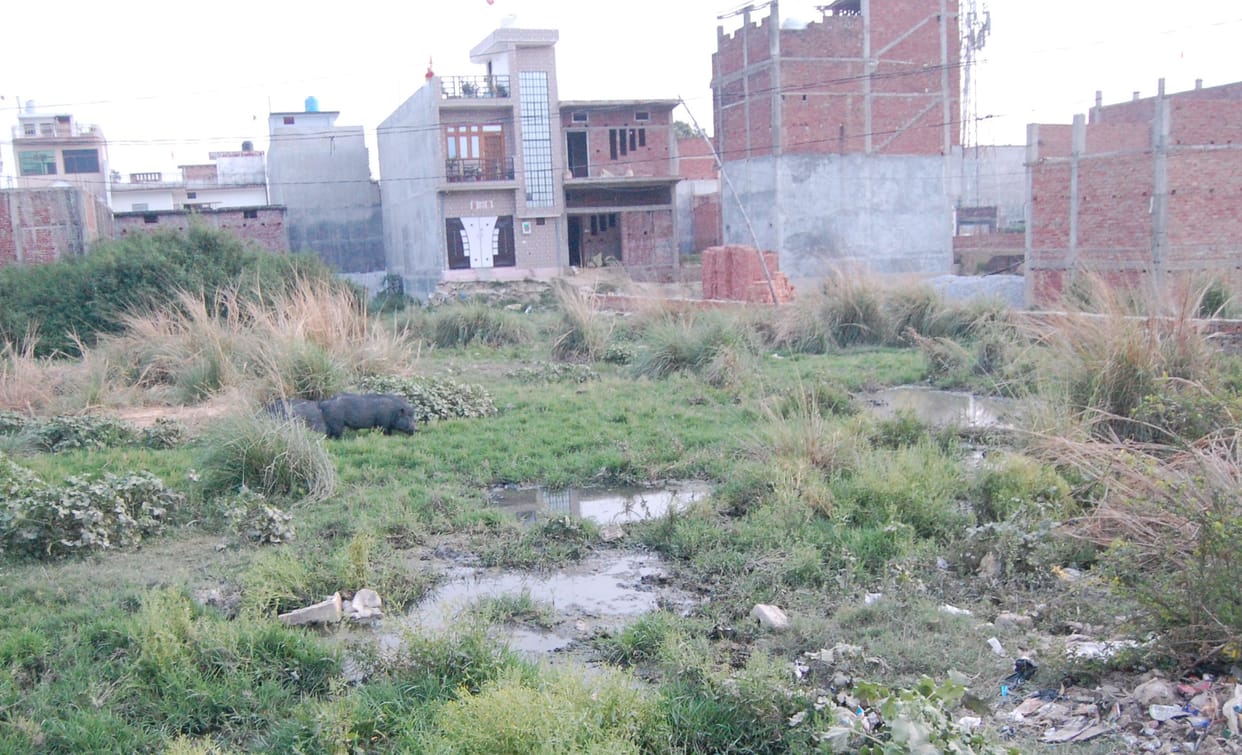 problem of drain city