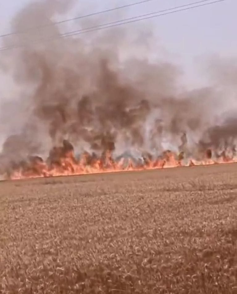 5 acre crop burnt