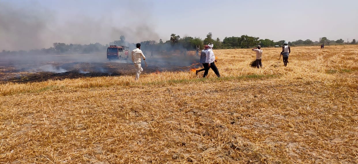 Fire breaks out again in Chaprapurvi village, 60 bigha crop ashes