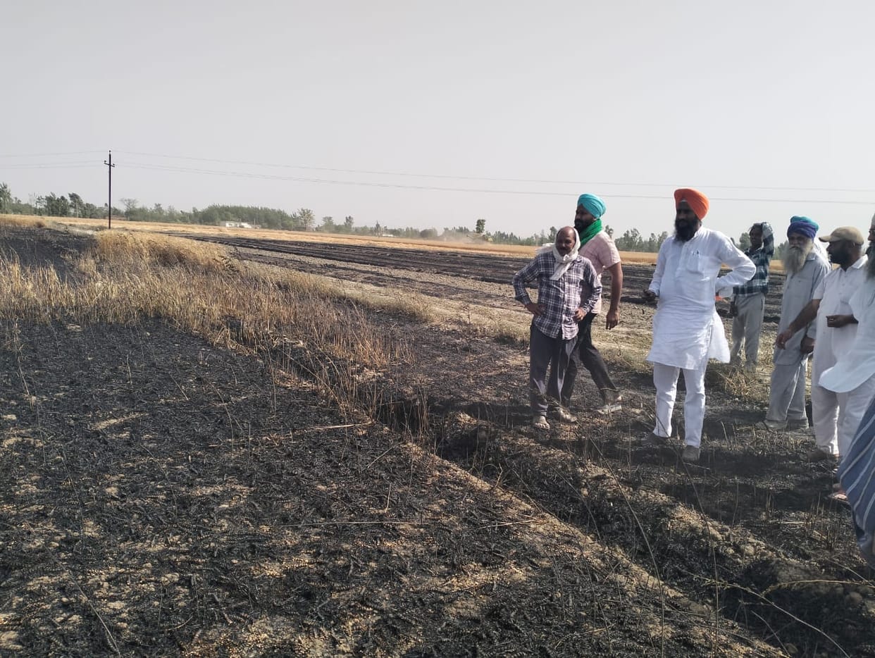 Many acres of wheat crop was destroyed due to fire at many places across the district, read full news....