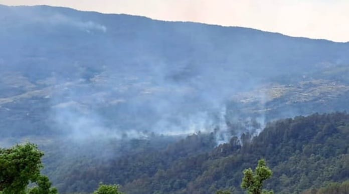 environmental degradation know Facts about the nature crisis