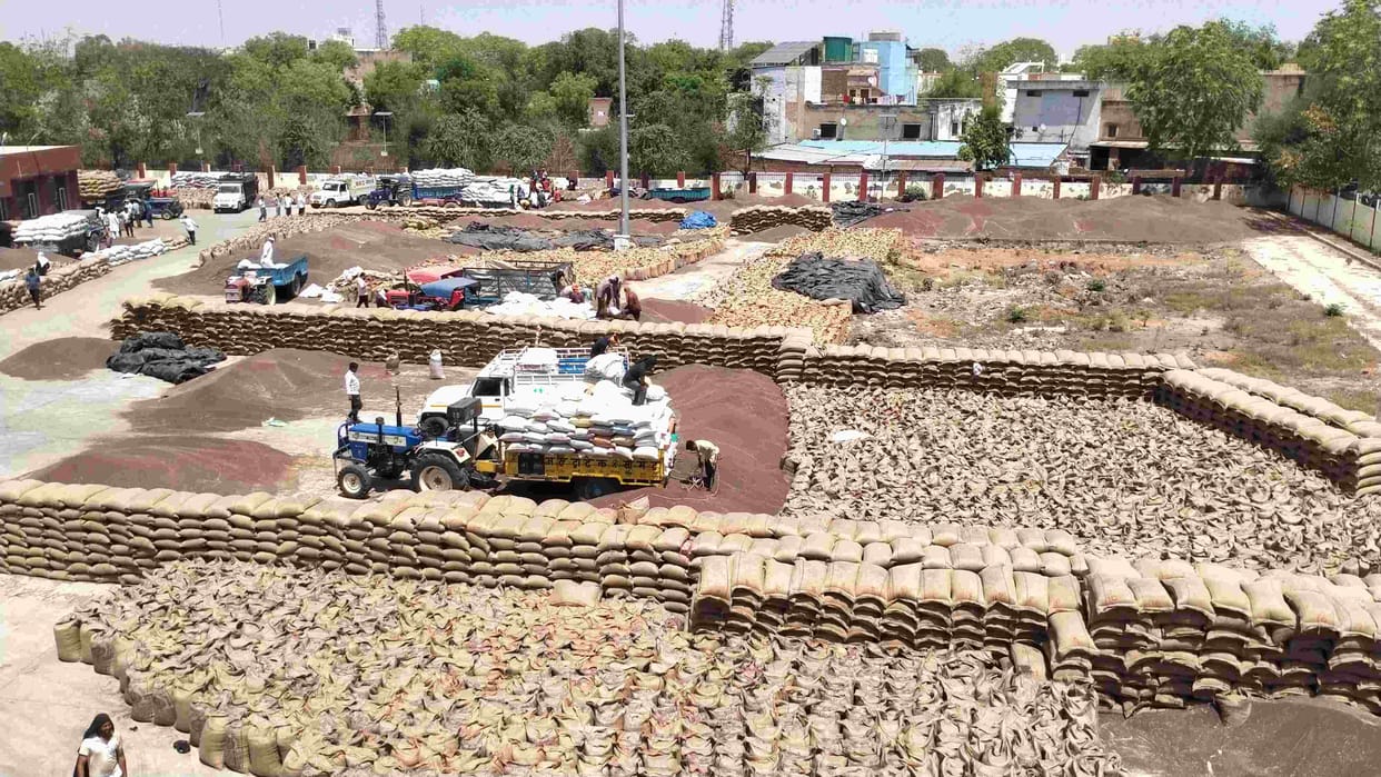 88571 quintals of mustard lying under open sky, gate pass will not be available even today