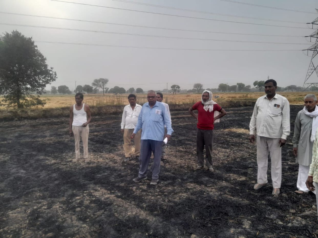 Electricity line broke and fell, 15 bigha wheat crop and chaff burnt