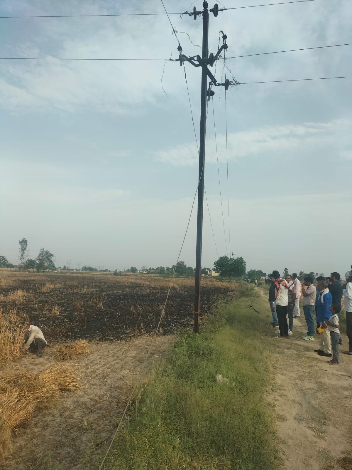 13 bigha wheat crop burnt due to wire spark
