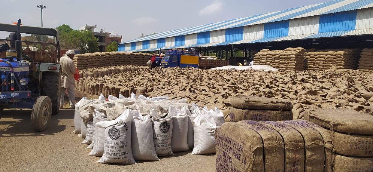 Procurement of wheat and mustard continues in grain market