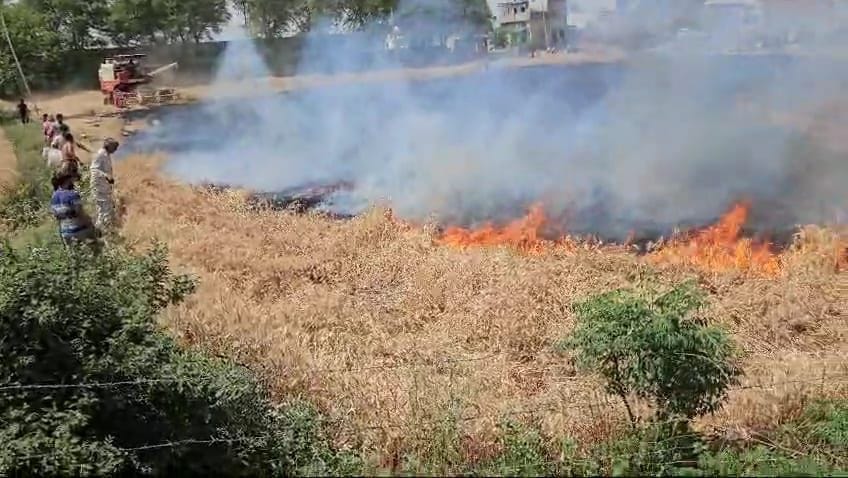 Wheat crop burnt due to short circuit spark