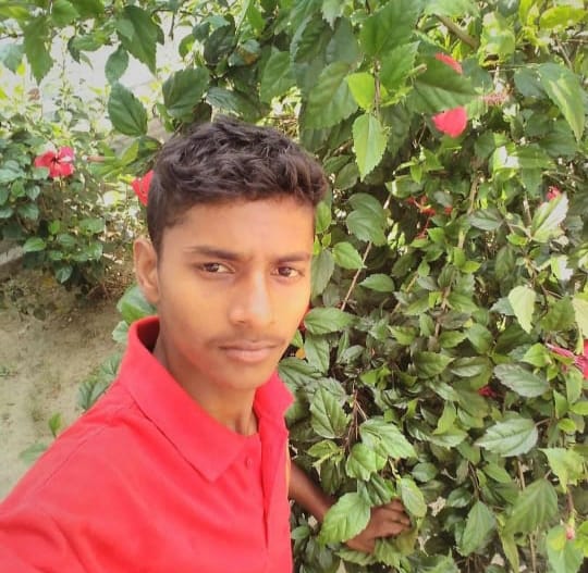 Bike rider dies after being hit by tractor-trolley laden with sugarcane