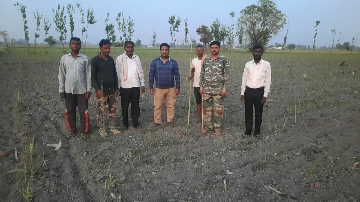 Injured tiger roaming in Kishanpur Sanctuary, monitoring started