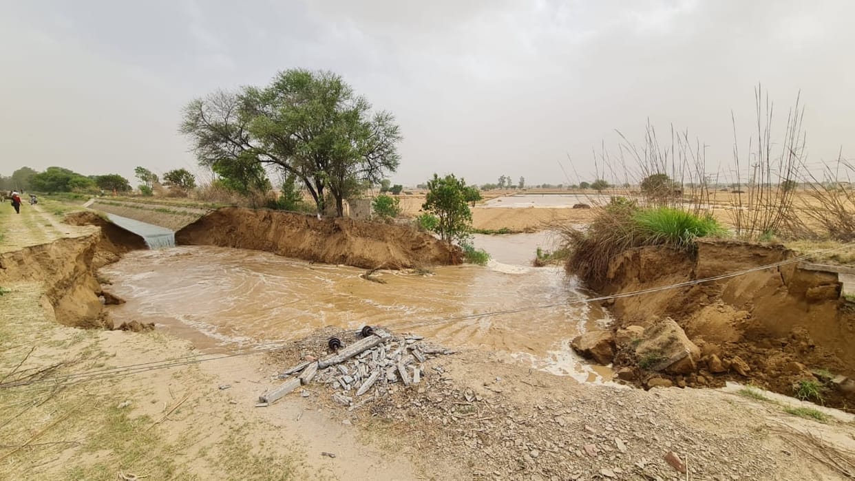 Wheat crop standing in 100 acres of land got damaged due to breaking of Varuvali canal.