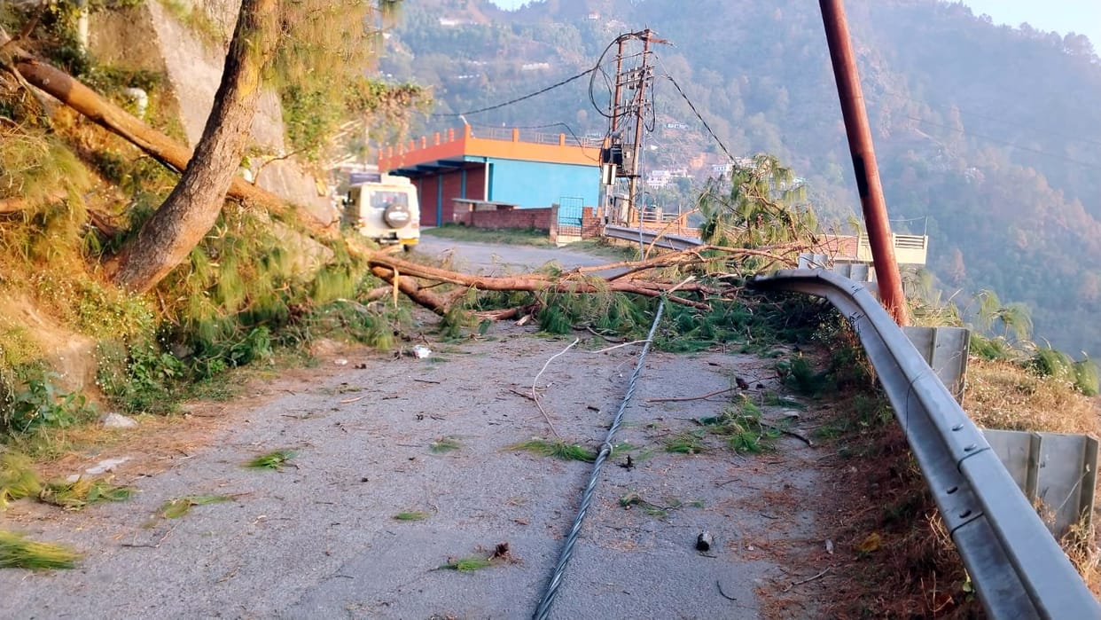 Tree fell on the line due to storm, traffic stopped, power cut