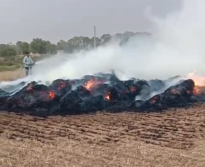 Short circuit causes field fire, two acres of crops burnt to ashes