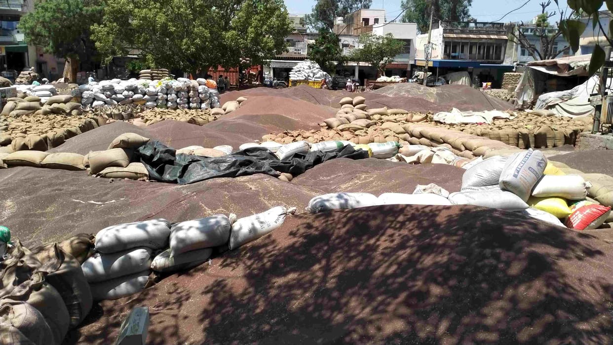 Procurement of mustard today by farmers of 9 villages according to roster due to lack of space