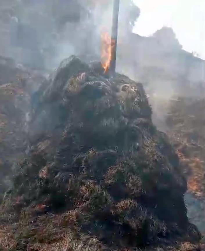 Bhatedi farmer's fruit trees and haystacks burnt due to forest fire