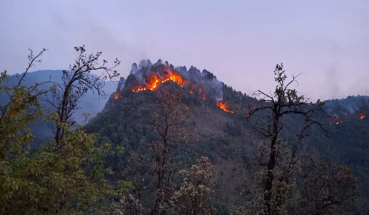 Forest blazed in Pithoragarh district