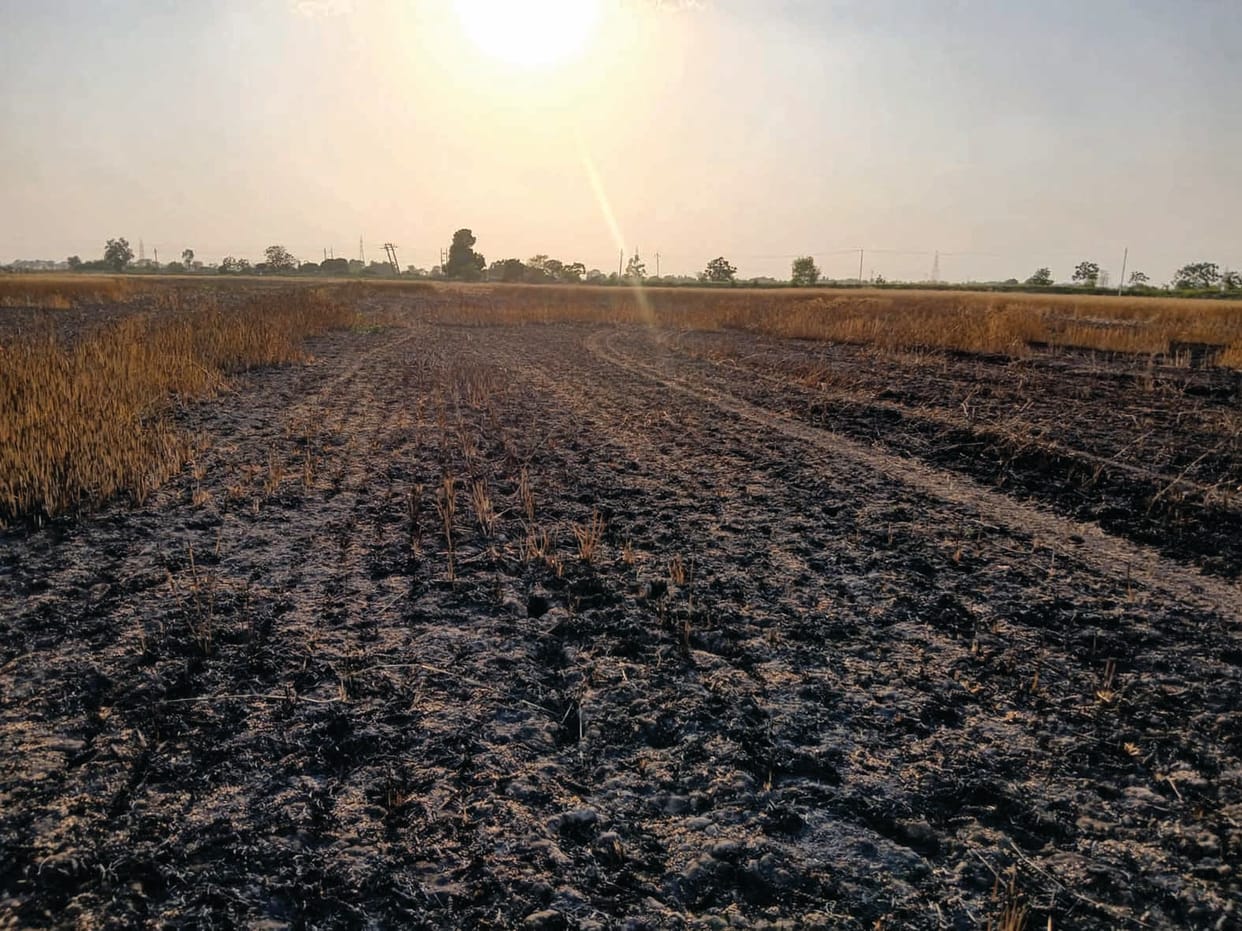 Fire broke out in wheat fields on the banks of Ghaggar river in village Kasimpur.