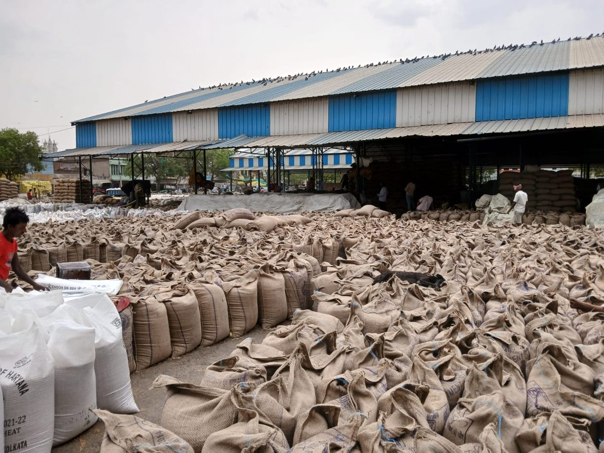 Bought 25 thousand quintals of mustard and 4000 bags of wheat.