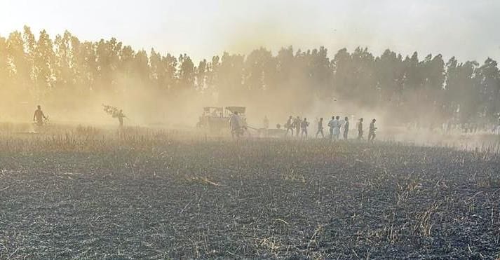 11 acres of wheat crop burnt, villagers brought it under control after hard work