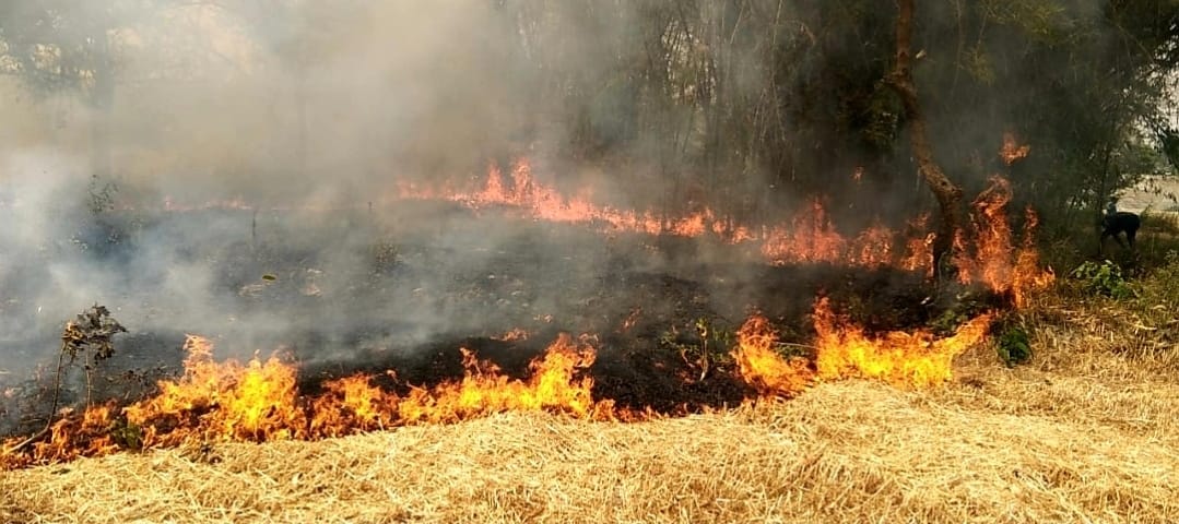 Fire wreaked havoc, three huts and wheat crop reduced to ashes