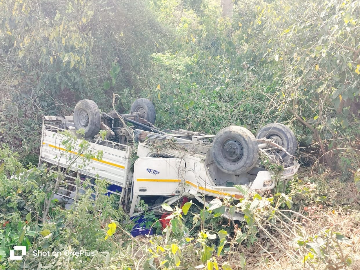 Pickup overturns while trying to save horse, six injured