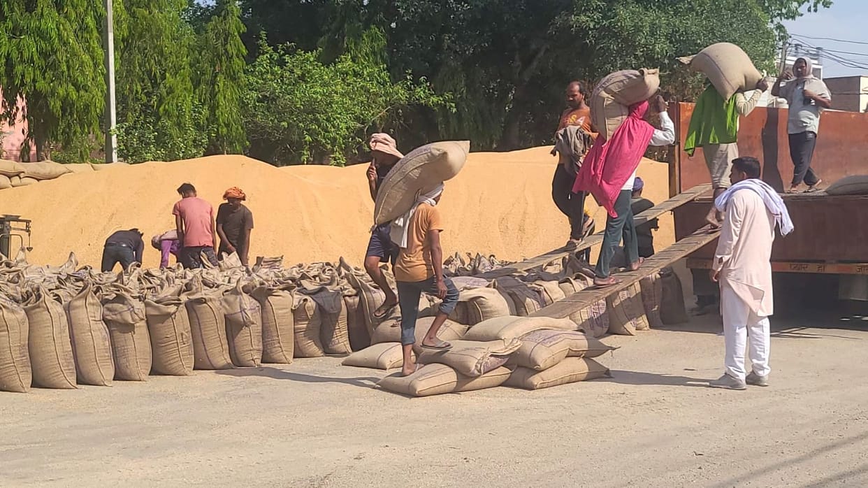 1.19 lakh quintals of wheat lifted from the mandis, Deputy Commissioner found less laborers in the warehouses