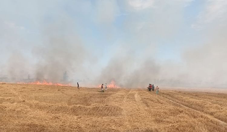 Sonipat News: 40 एकड़ फांस जले, तीन दमकल गाड़ियों ने पाया आग पर काबू