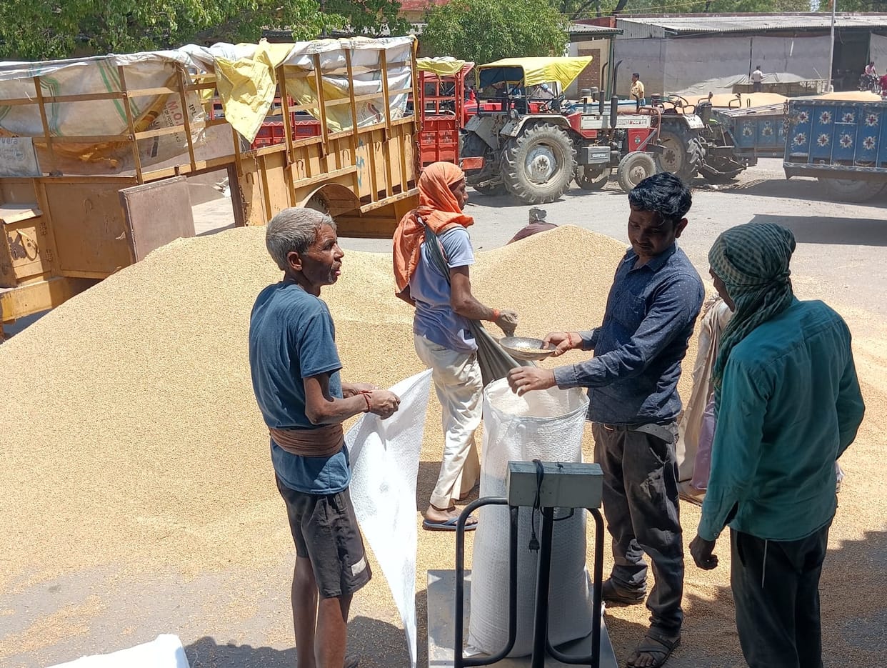 Procurement done at government centres, wheat sold in market for Rs 2400