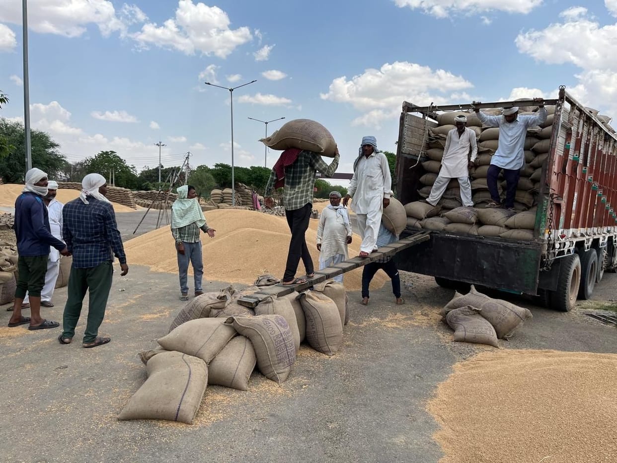 Wheat lifting picks up pace due to increase in unloading point