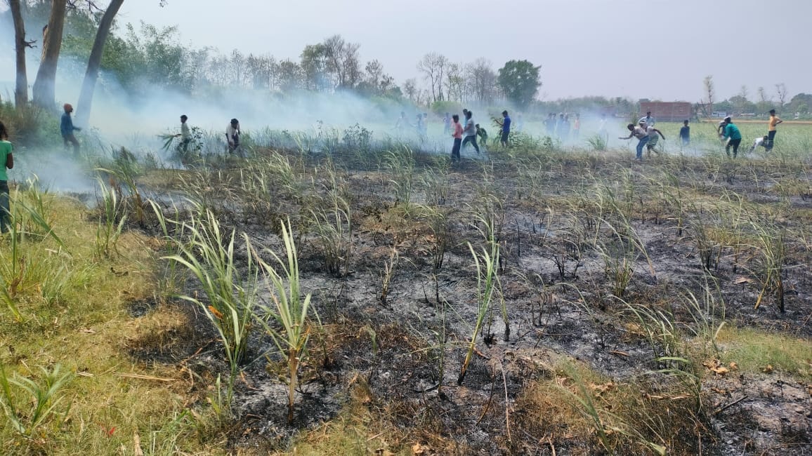 Three huts were burnt in the fire, one buffalo and six goats died