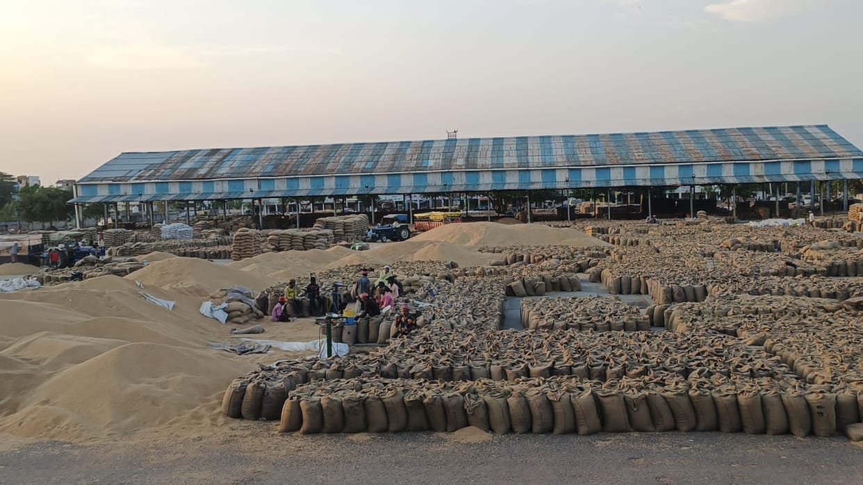 Wheat got moisture due to drizzle, 43 thousand quintals sold in Sonipat market after sunshine