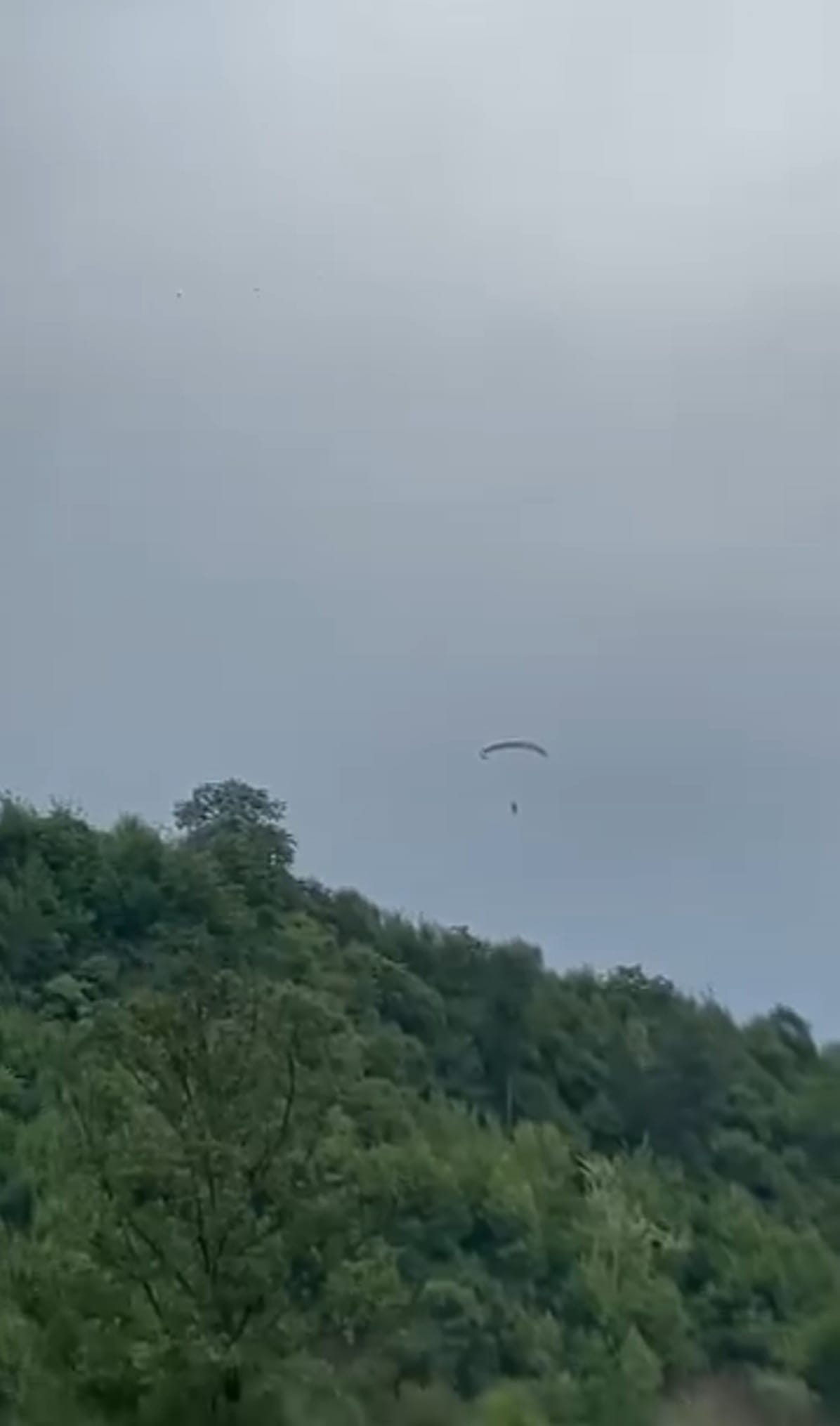 Paraglider strayed due to strong wind in Pease site, stuck on tree