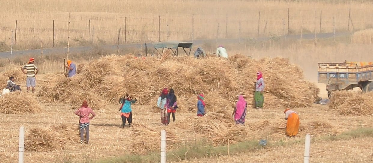 Kisan cards for 3.97 lakh farmers in Aligarh