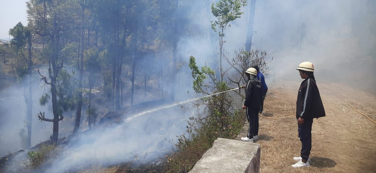Forest fire reached homes, people remained in panic
