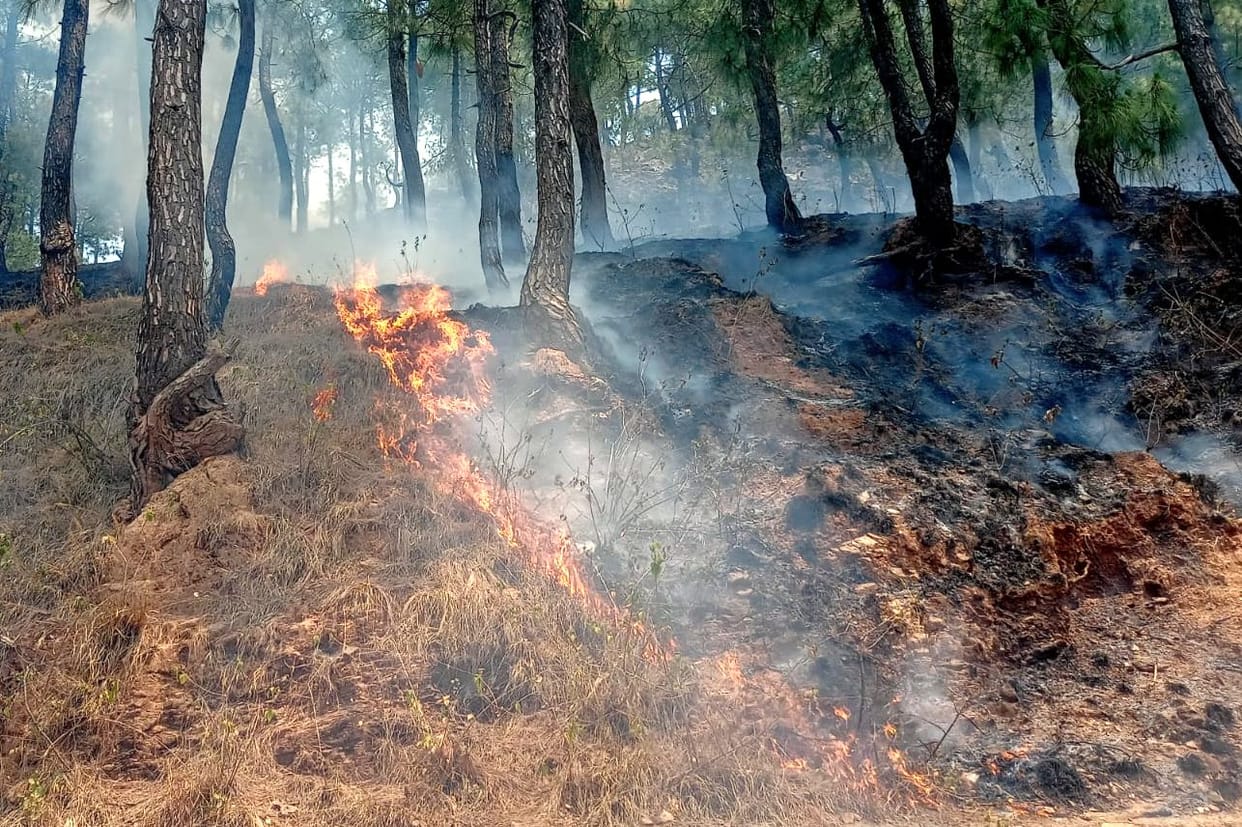 Uttarakhand Forests Burning Despite CM instructions no action was taken against even a single officer