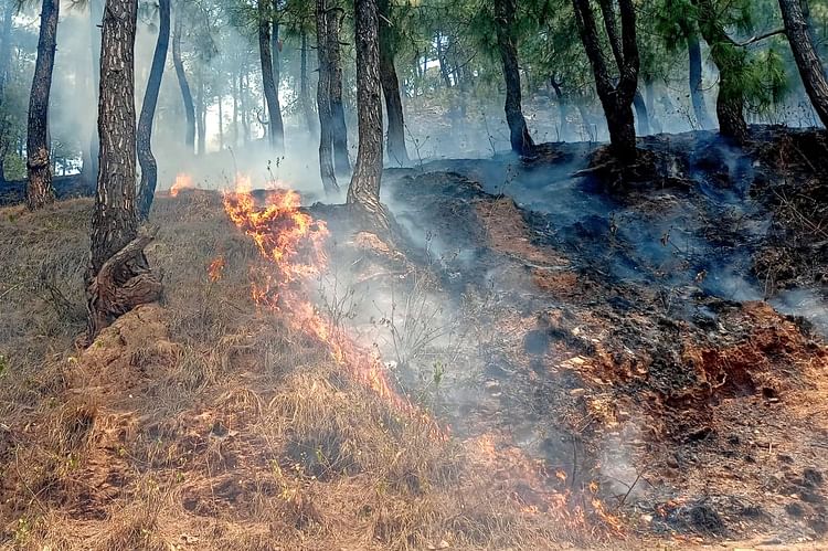 उत्तराखंड में अब तक 581 हेक्टेयर जंगल जल गए