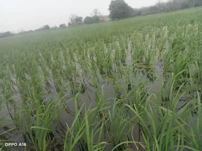 ICAR Campaign Before Kharif: Farmers Advised Soil Testing to Reduce Fertilizer Use