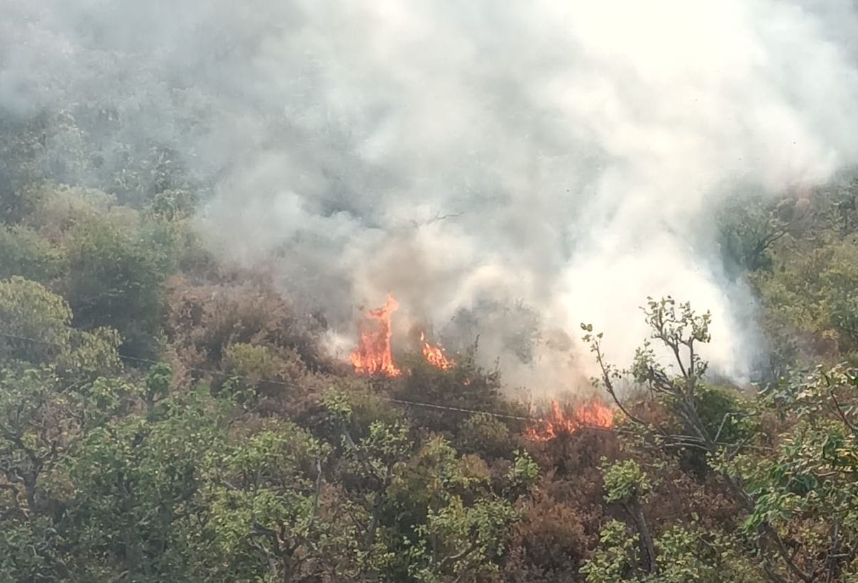 Anarchists set fire in Kotna forest