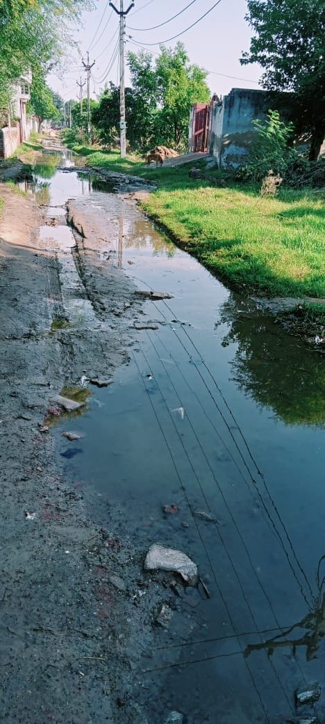 Wastewater spreading on the road in Bevel for the last 8 years could not be solved