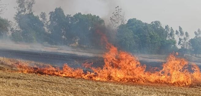 Fire blazed in wheatgrass, fire brigade extinguished it