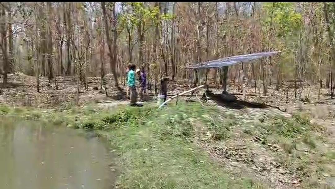 Water is being filled in the ponds of Tiger Reserve