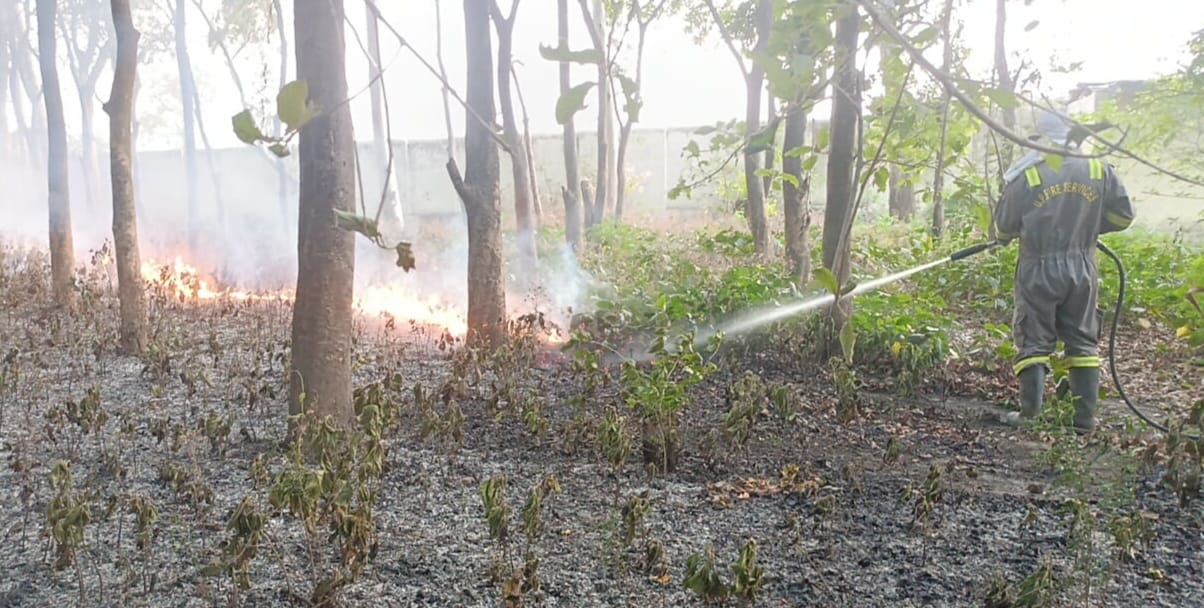 Fire breaks out in Tilhar Mandi, huge loss avoided
