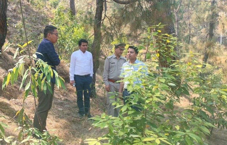 File a case against those who burn forests: Dr. Rose