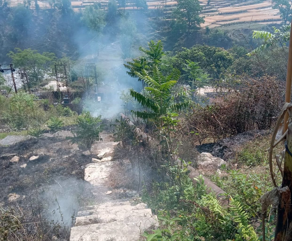 Fire in Dwarason forest due to short circuit in 33KV line