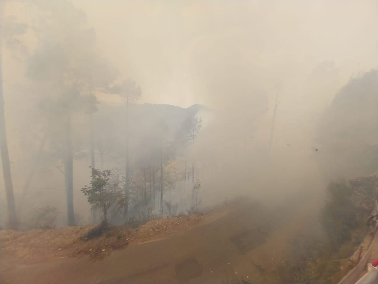 Fire reached the population, goods burnt